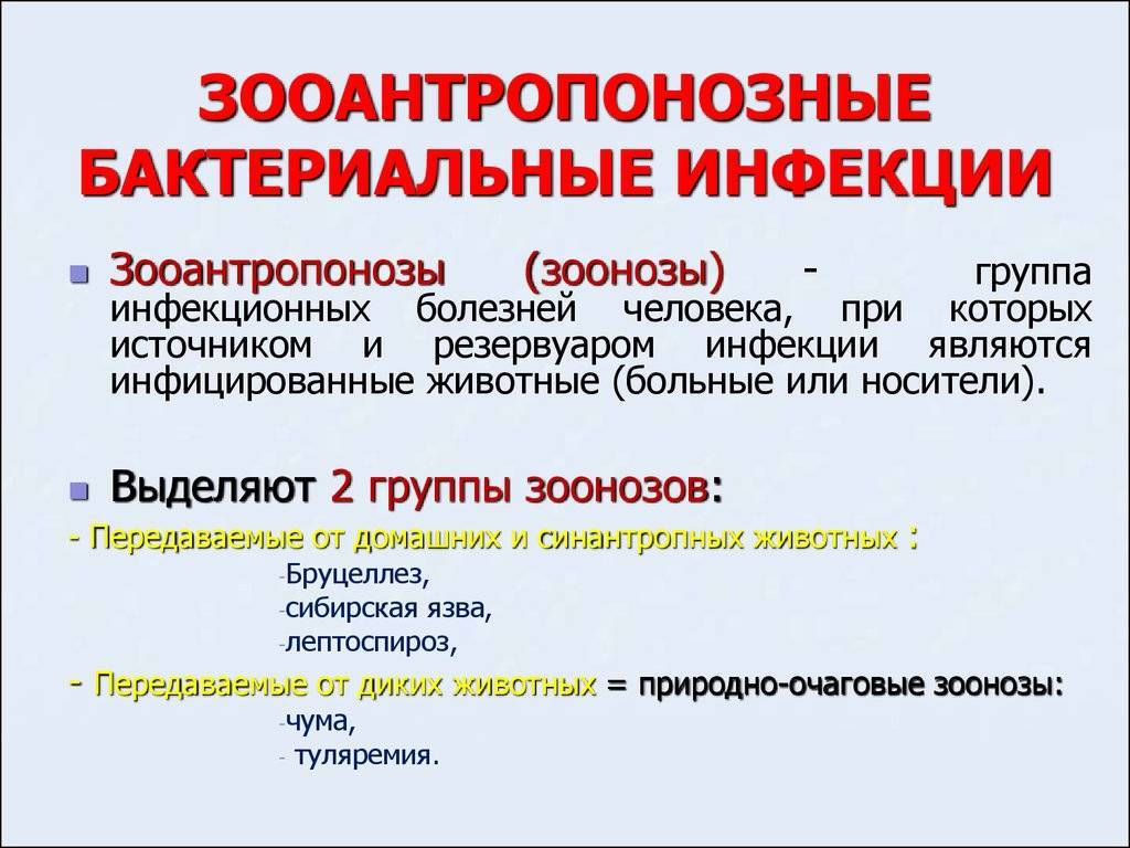 Бактериальные инфекции кожи — симптомы и способы лечения бактериальных инфекций кожи в клинике целт