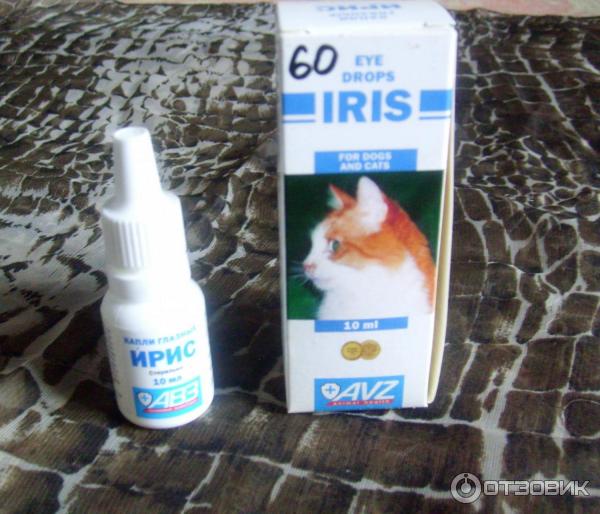 Глазные капли для кошек ирис: подробности состава и применения