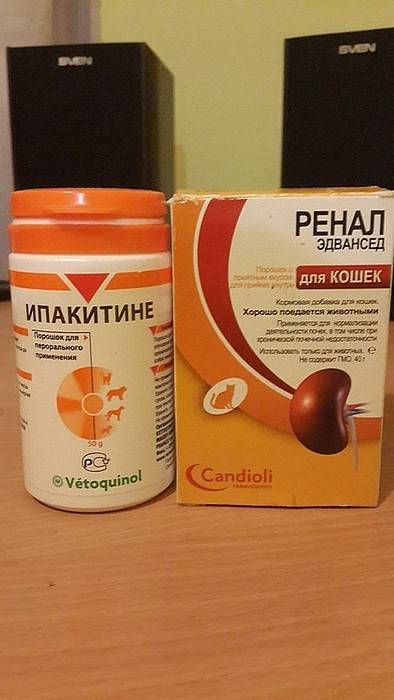 Препарат «ренал адванс» («эдвансед») для кошек: инструкция по применению