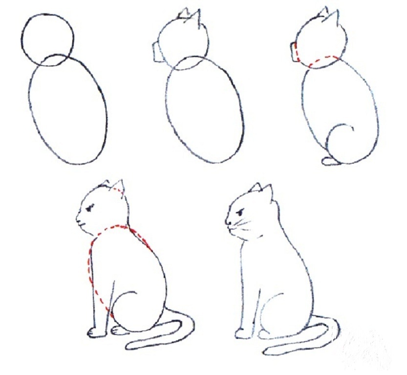 Как нарисовать кошку поэтапно карандашом: легкая схема по созданию рисунков