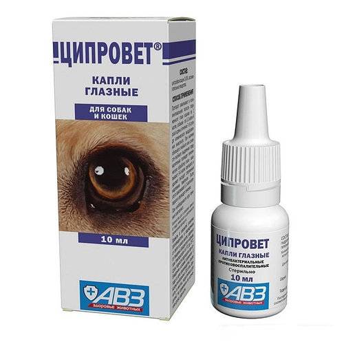 Ципровет для кошек: состав, формы выпуска, условия хранения, применение, противопоказания, побочные эффекты, дозировка, аналоги