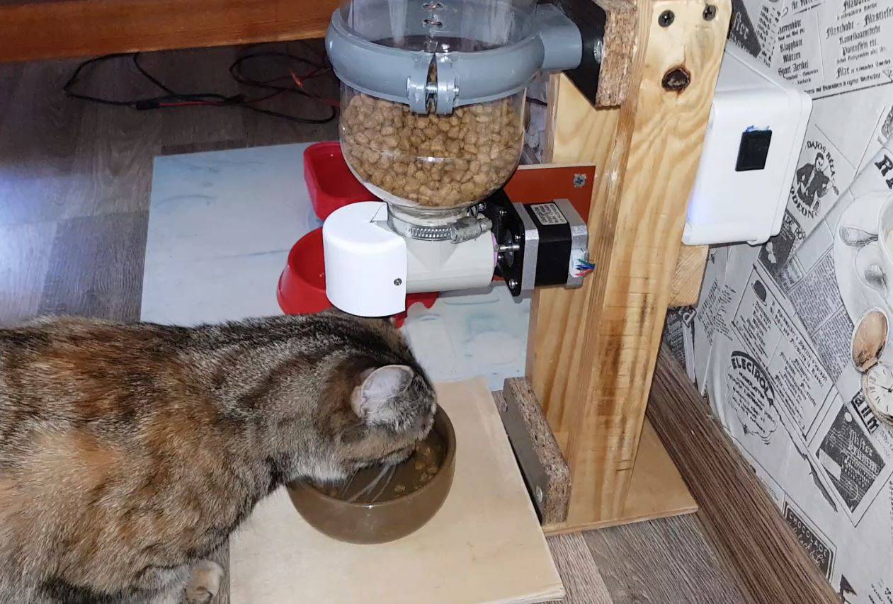 Автоматическая кормушка для кошек: советы по выбору со сравнением популярных моделей кормушек