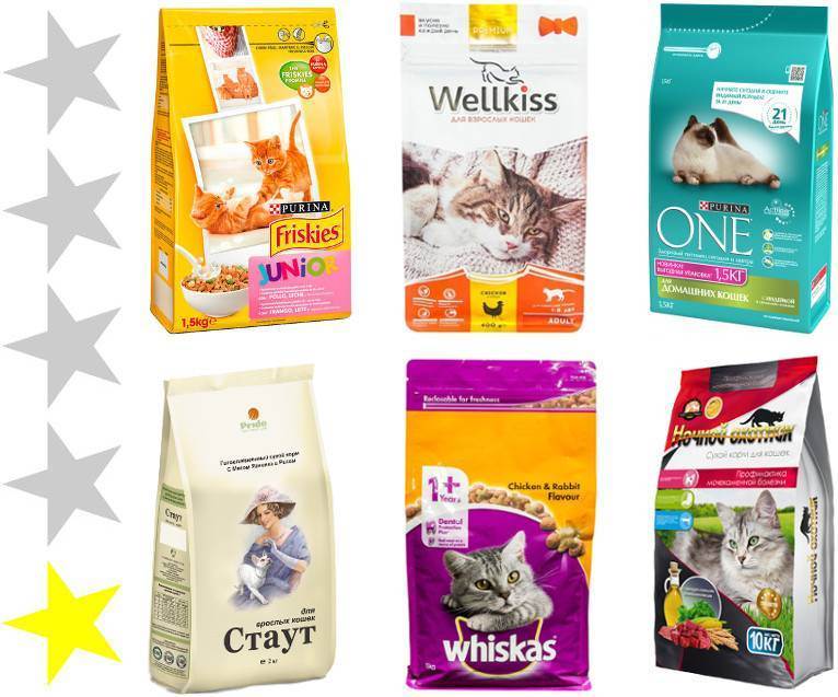 Сухой корм для кошек: обзор по видам, какой самый лучший по отзывам ветеринаров (рейтинг 2018)
