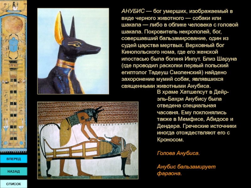 Анубис это история 5. Египет Анубис Шакал. Анубис Бог древнего Египта смерти. Бог с головой шакала в Египте. Боги Египта Анубис скульптура.