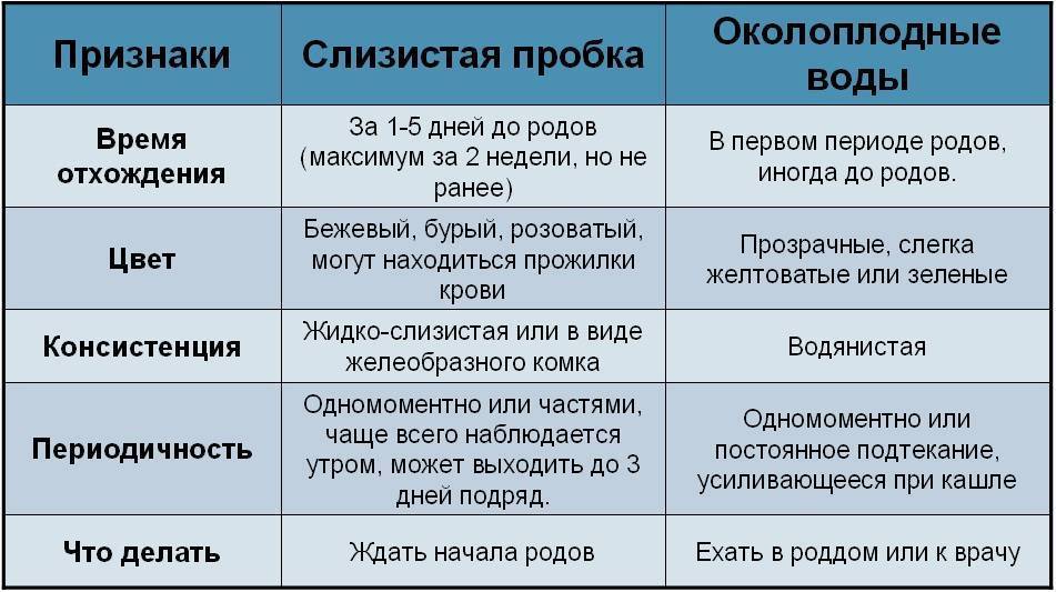 Как начинаются схватки