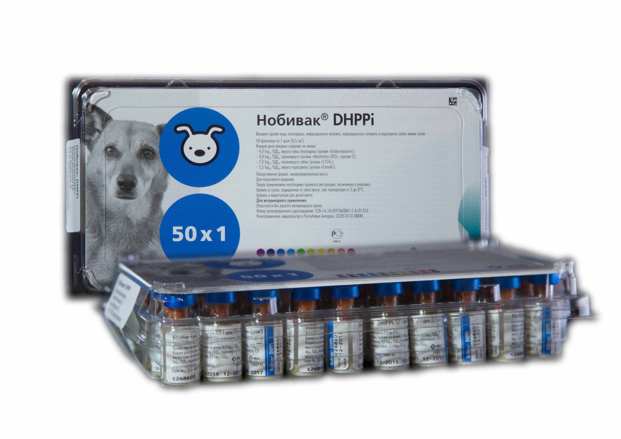 Нобивак для собак : инструкция по применению, схемы вакцинации