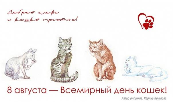 День кошек в россии и международный день кастрации животных — 2017: как отмечают | новости