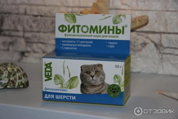 Популярные витамины для кошек от выпадения шерсти: обзор качественных препаратов, отзывы специалистов