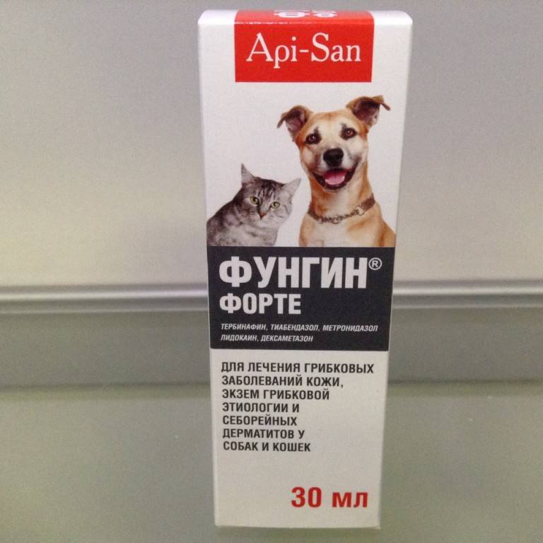 Лечение лишая кошек фунгином