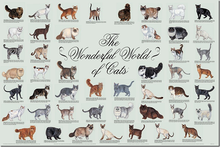 Сколько кошек в мире и в россии, где на земле проживает больше всего котов?