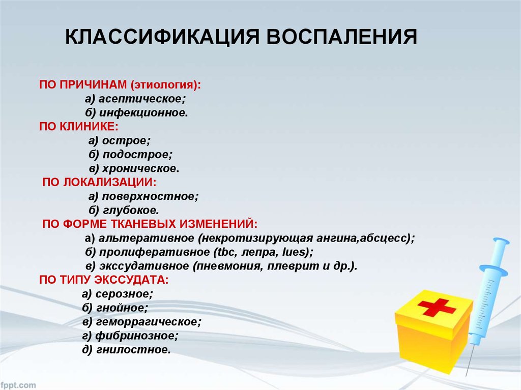 Пневмония у собак: симптомы, лечение, антибиотик в домашних условиях, аспирационная пневмония