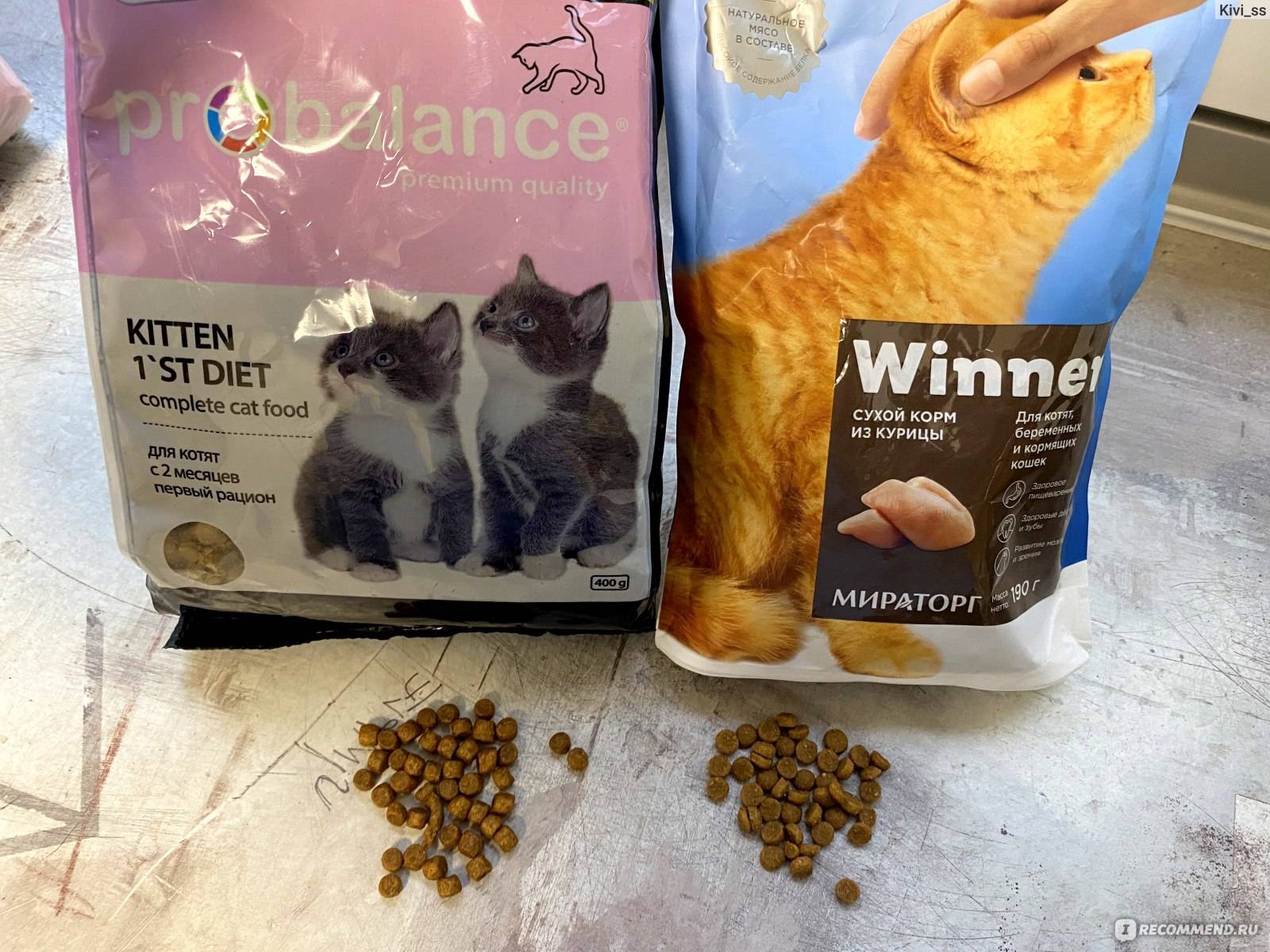Бюджетные корма для кошек хорошего качества