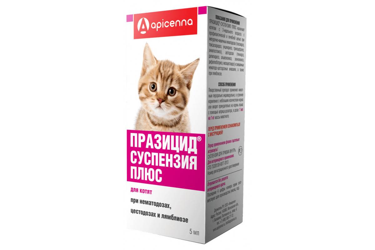 Празицид — эффективный препарат для профилактики и лечения гельминтов у котят старше трехнедельного возраста