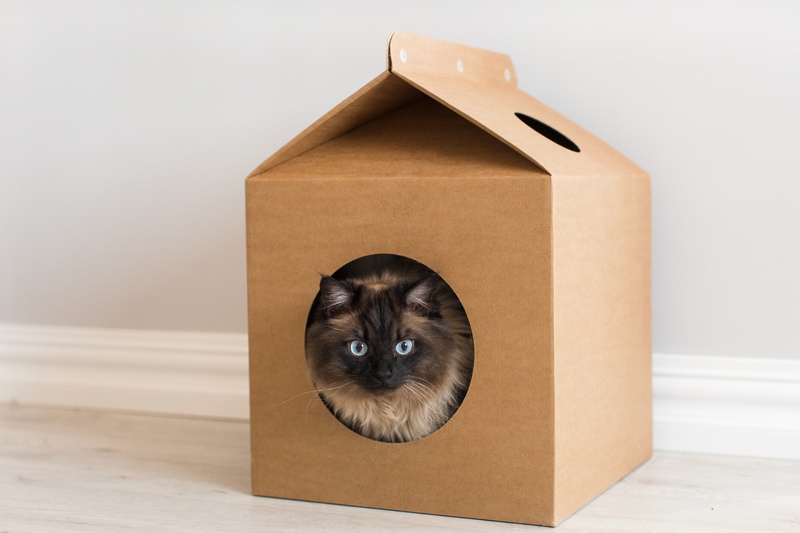 Домик для кошки своими руками из картонной: пошаговая инструкция