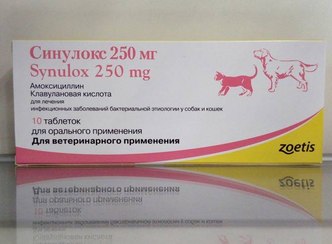 Циклоферон для собак: инструкция по применению с дозировкой таблеток и раствора для уколов. можно ли колоть щенкам или самкам во время течки?