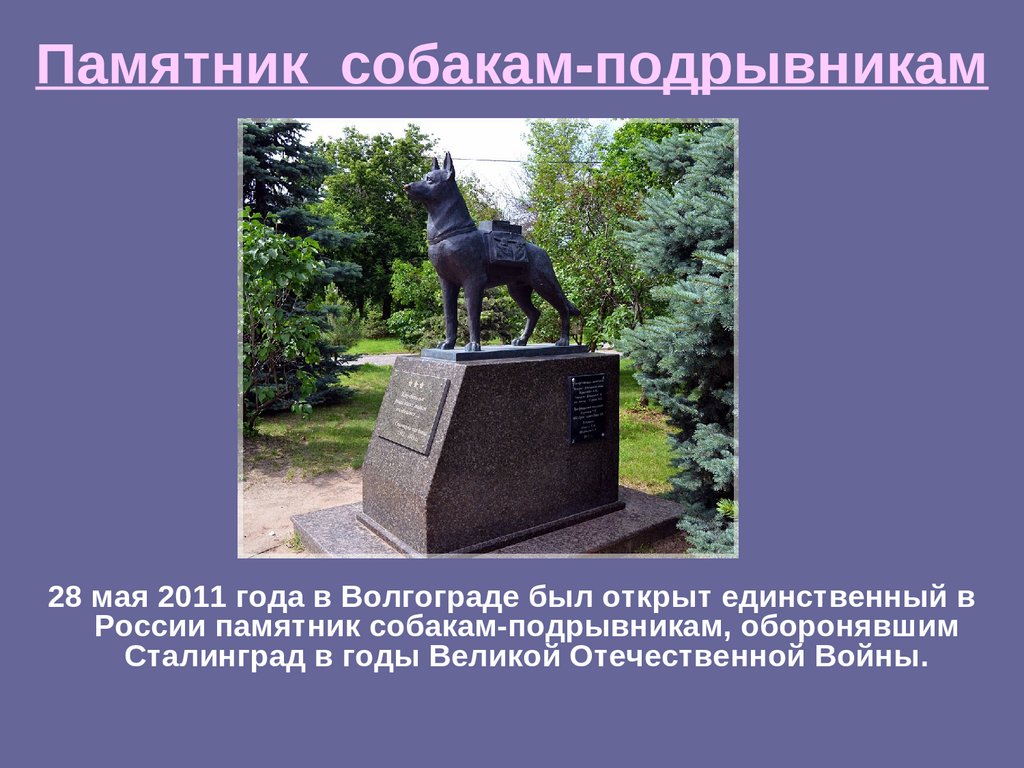 Памятники, посвященные собакам