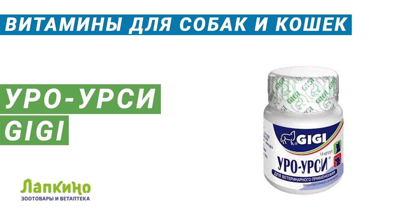 Уро урси для собак: инструкция по применению с дозировкой. как давать препарат, можно ли его щенку и что делать, если после него кал стал твёрдый?