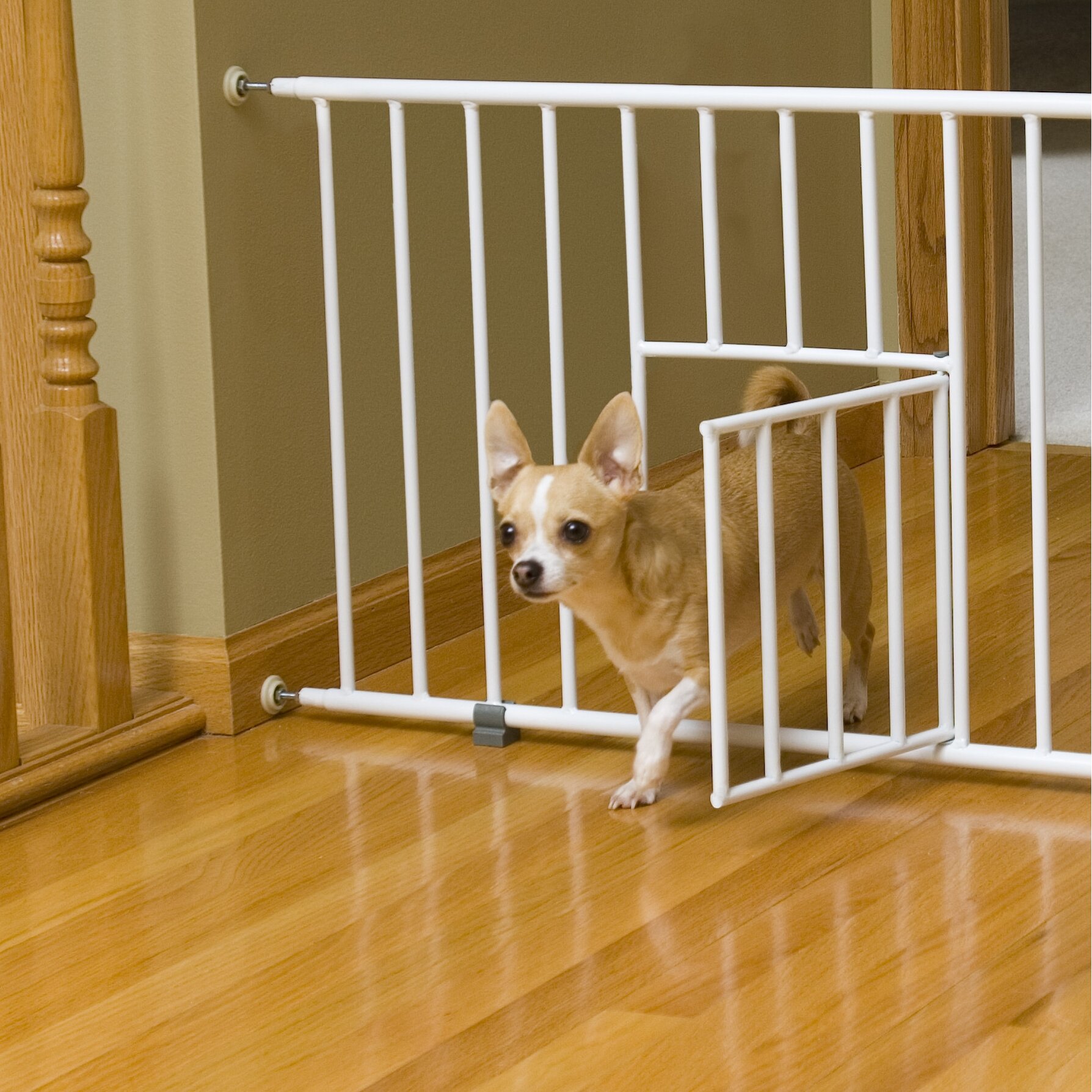 Барьер для собак в квартиру в дверной проем — назначение