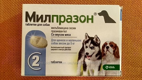 Антигельминтные препараты для собак: широкого спектра действия