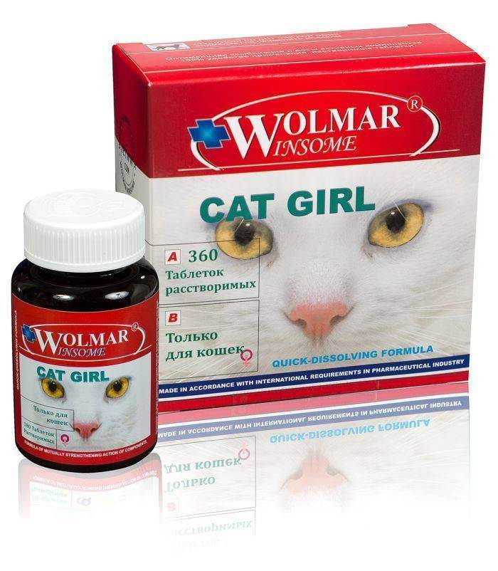Витамины для британских котят