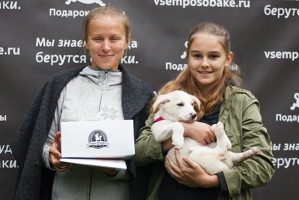 Выставка приюта «собаки, которые любят» помогла животным найти новых хозяев