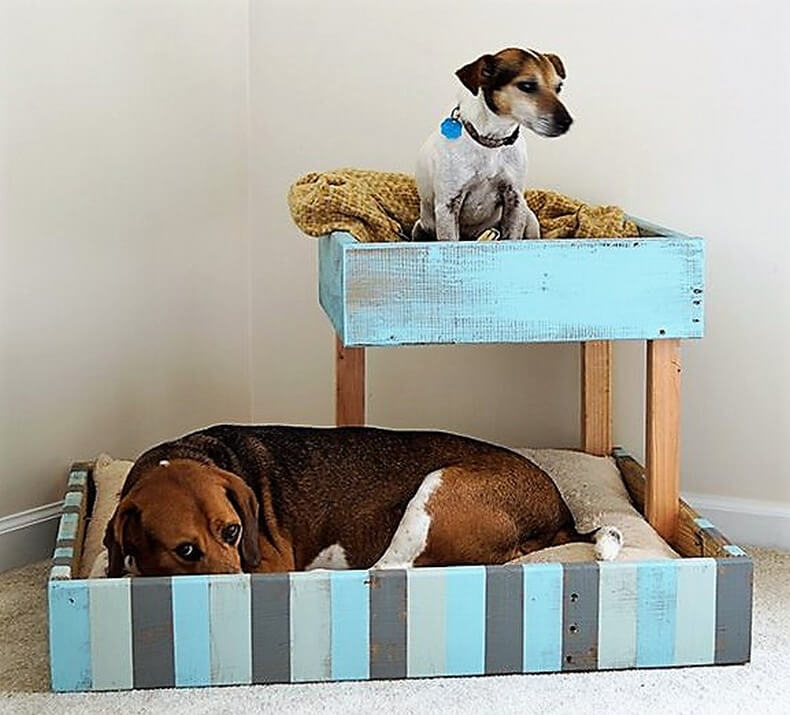 Как приучить собаку и щенка к месту в квартире, к лежанке в доме, как отучить от кровати или дивана