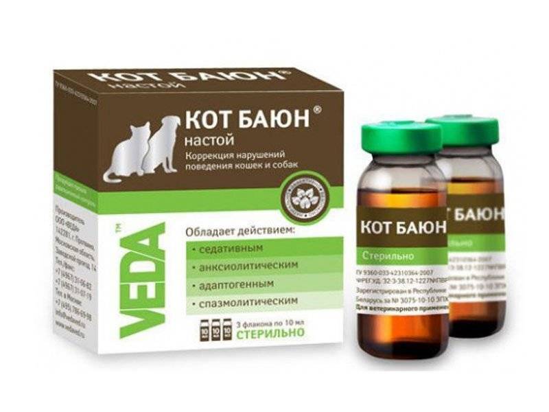 Снотворное для кошек при поездке и стрижке шерсти