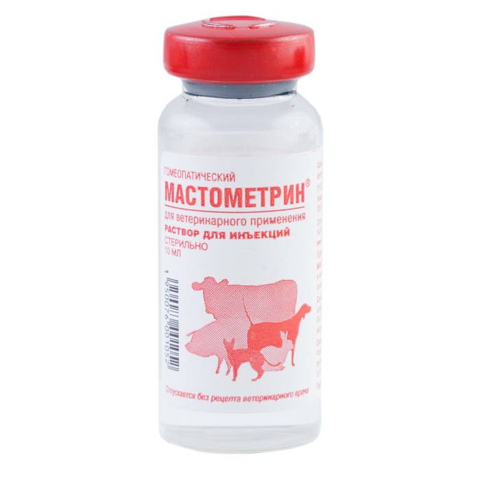 Мастометрин, лекарственный препарат для лечения собак и кошек, имеется инструкция по применению в ветеринарии