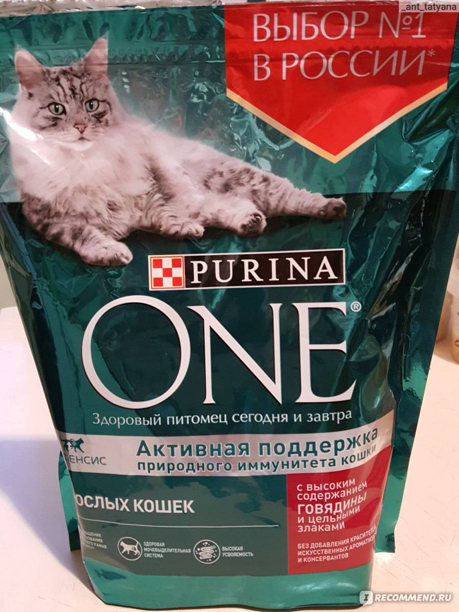 Корм для кошек "purina one": состав сухого и влажного продукта и его виды