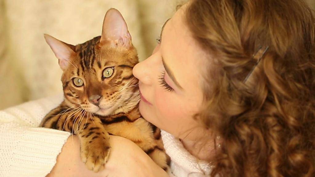 Почему нельзя целовать кошек в морду - мамин советник
