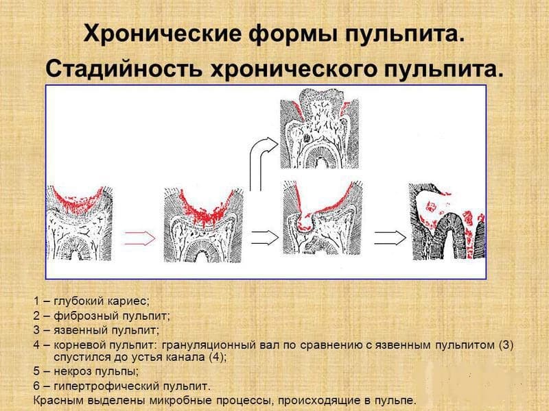 Стоматит у кошек: причины, симптомы, диагностика, лечение и прогноз, профилактика | блог ветклиники "беланта"