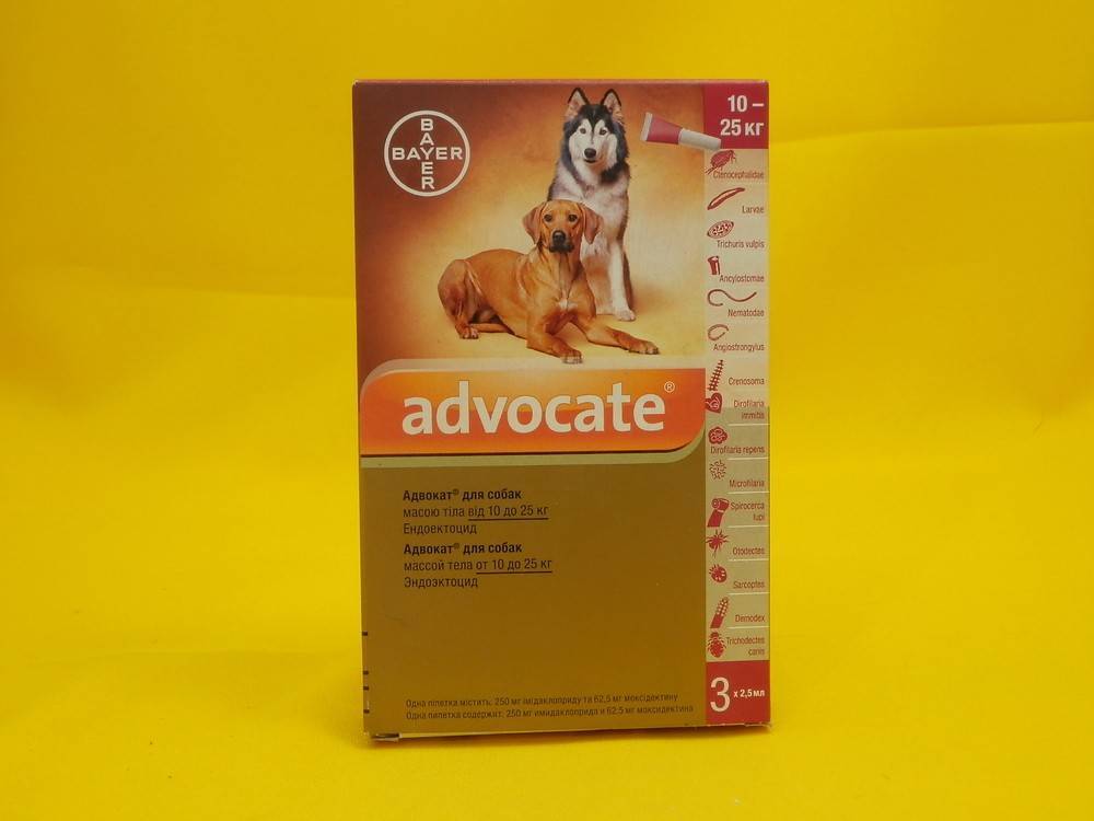 Ветеринарный препарат «адвокат» для кошек: дозировка, инструкция