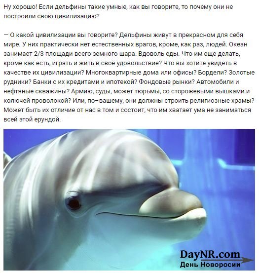 Почему люди любят дельфинов?