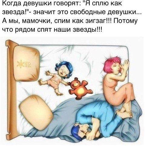 Кошка в качестве домашнего питомца: стоит ли заводить кошку, преимущества