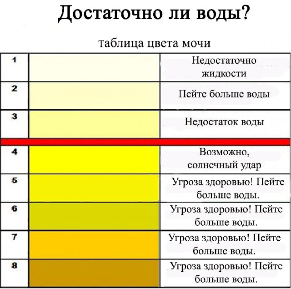 Острый и хронический синусит (гайморит, фронтит, этмоидит)