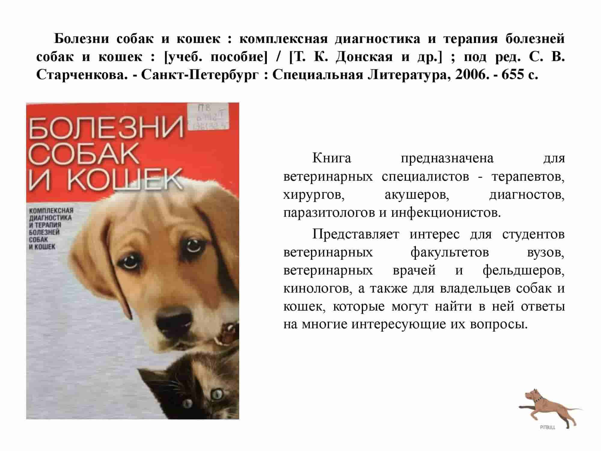 Чау чау: характеристика, плюсы и минусы, дрессировка, воспитание