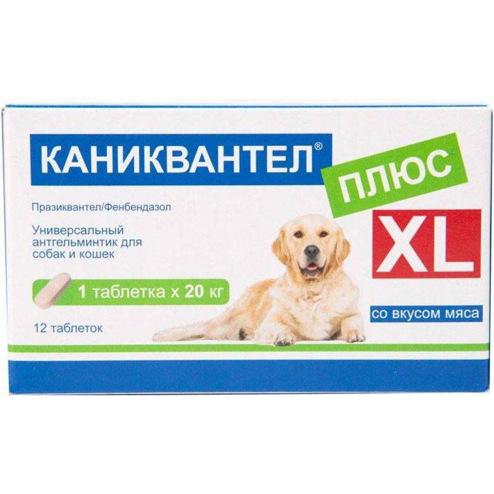 "каниквантел" для кошек: показания, инструкция по применению