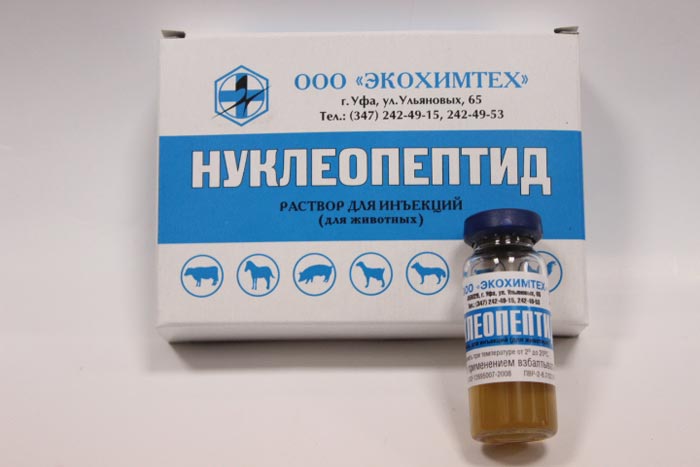 ᐉ нуклеопептид отзывы по крс, стимуляторы роста для животных - zoomanji.ru