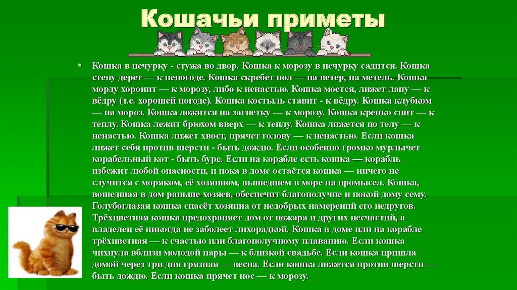 Поверья и приметы про кошек | корки.lol