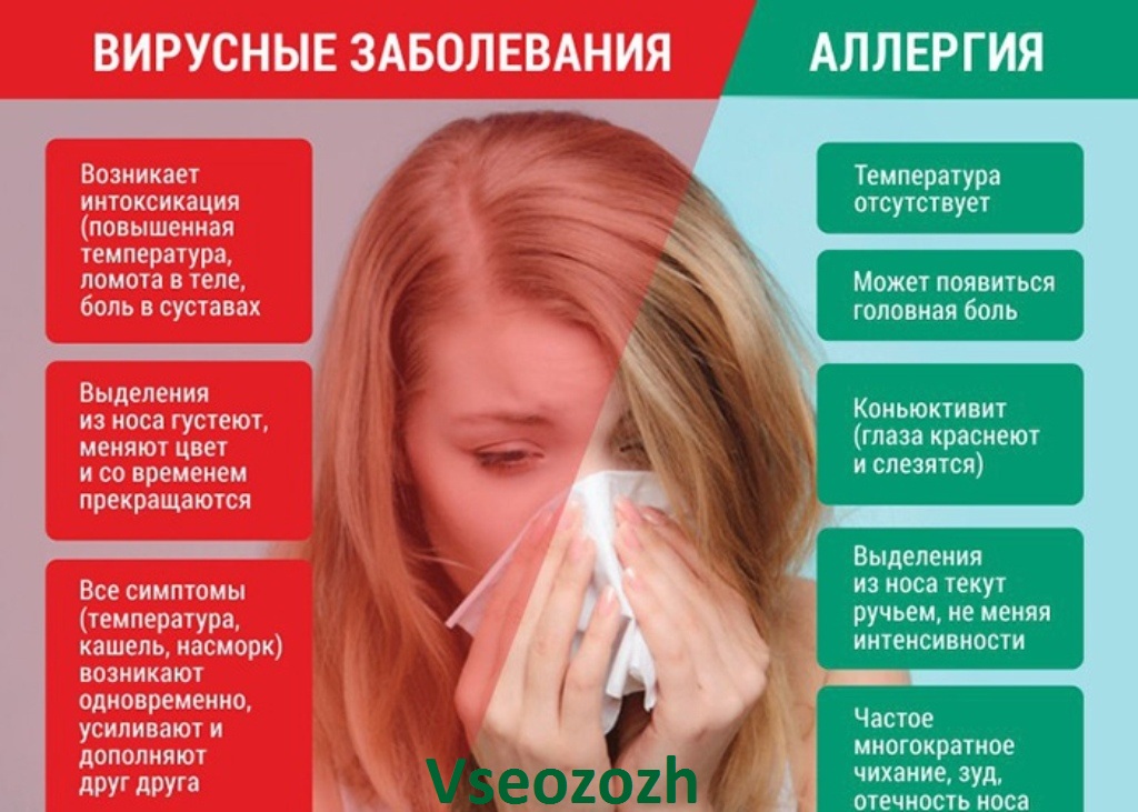 Что делать если кошка чихает, причины чихания котов и кошек