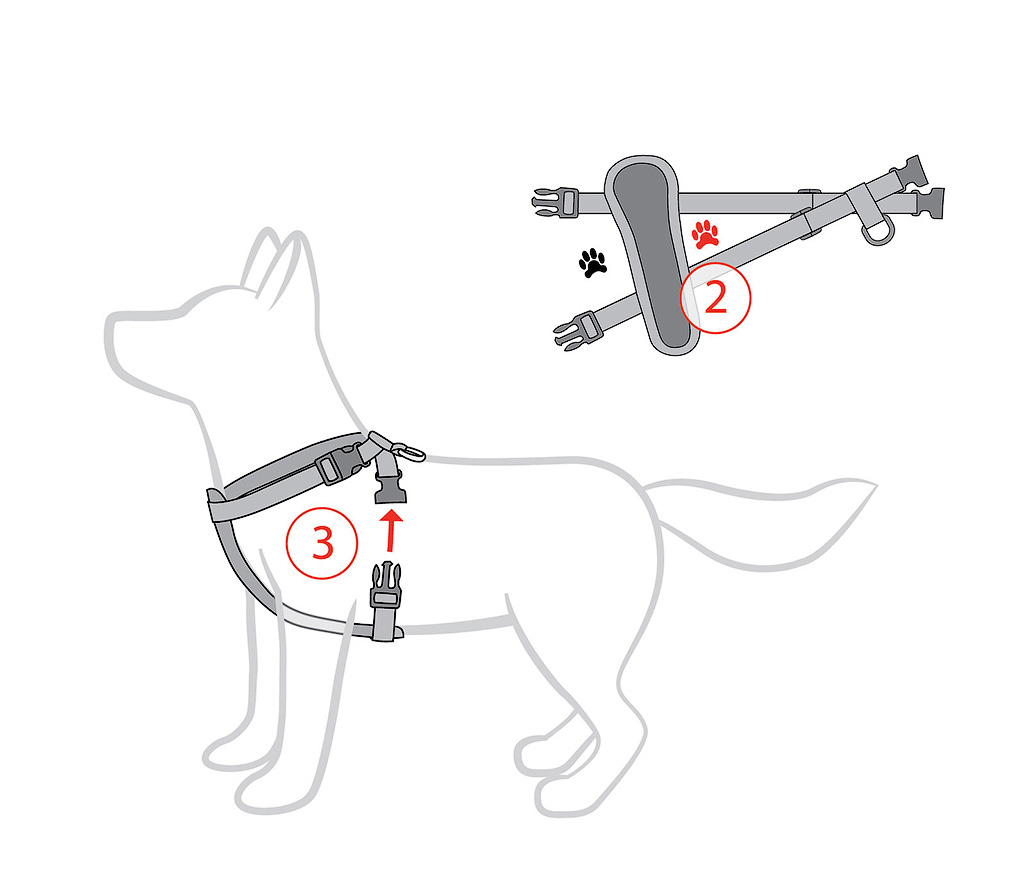 Как сделать ошейник для собаки своими руками — пошаговая инструкция, фото, видео