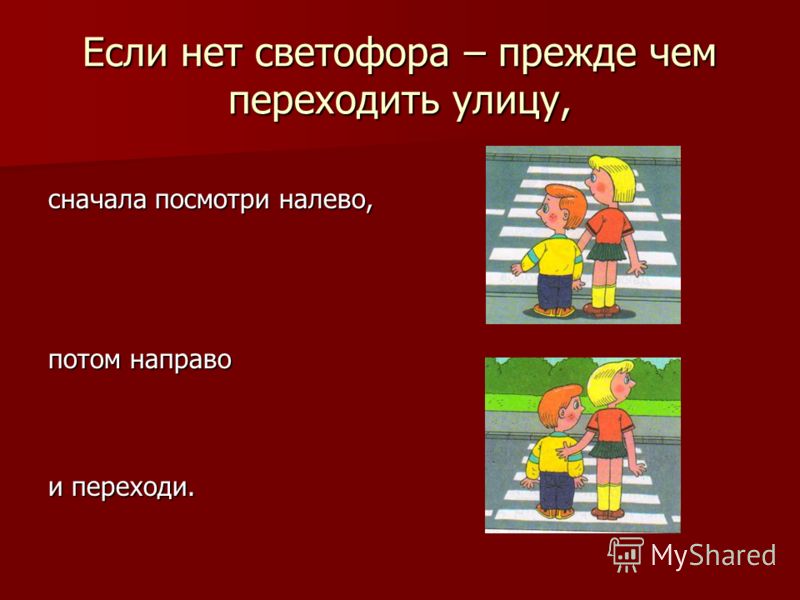 Черная кошка перебежала дорогу: к чему примета