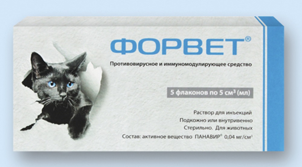 Обзор противовирусных препаратов для кошек