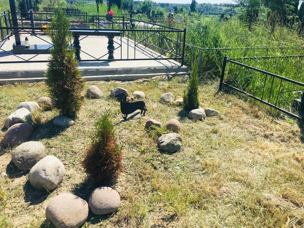 Кладбище домашних животных: закопать в землю или сжечь? о ритуальных услугах для животных в твери