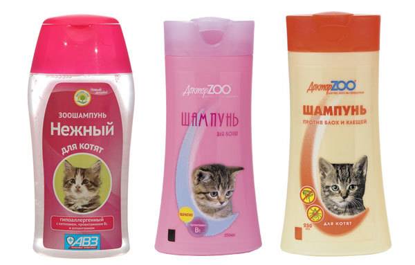 Как выбрать шампунь для кошек от аллергии