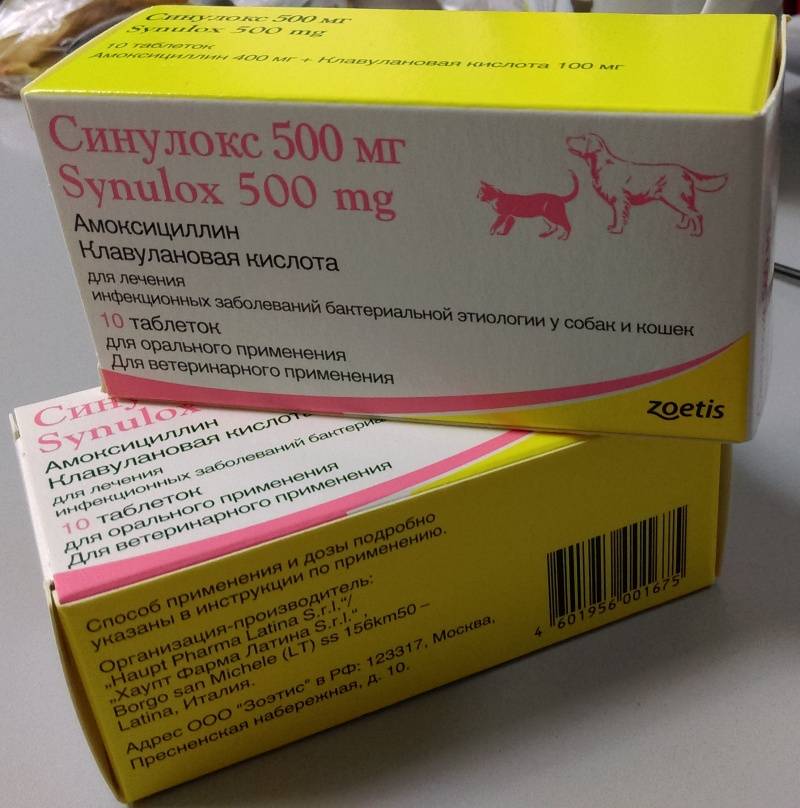 «синулокс»: инструкция по применению препарата для собак