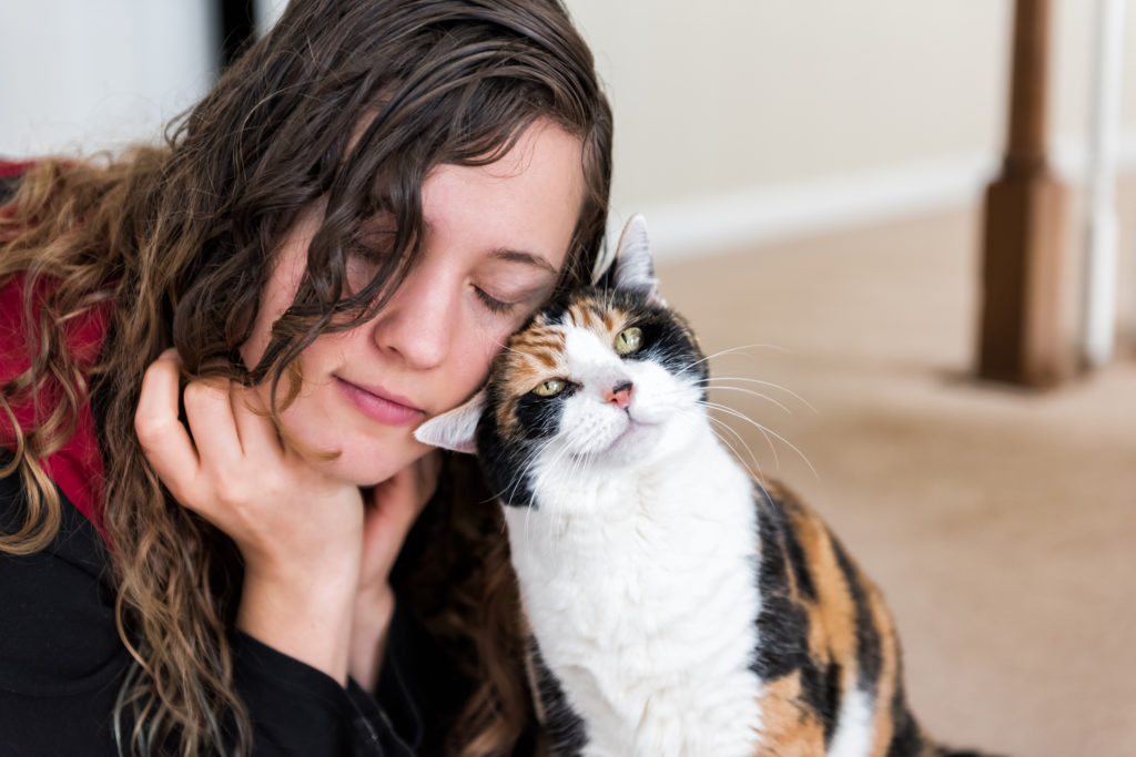 Как понять, любит ли вас кошка? 11 признаков, что кошка вас любит