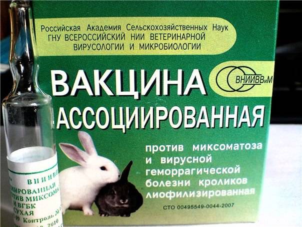 Вакцина вгбк для кроликов: инструкция по применению