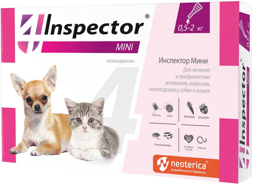 Обзор препарата инспектор для кошек