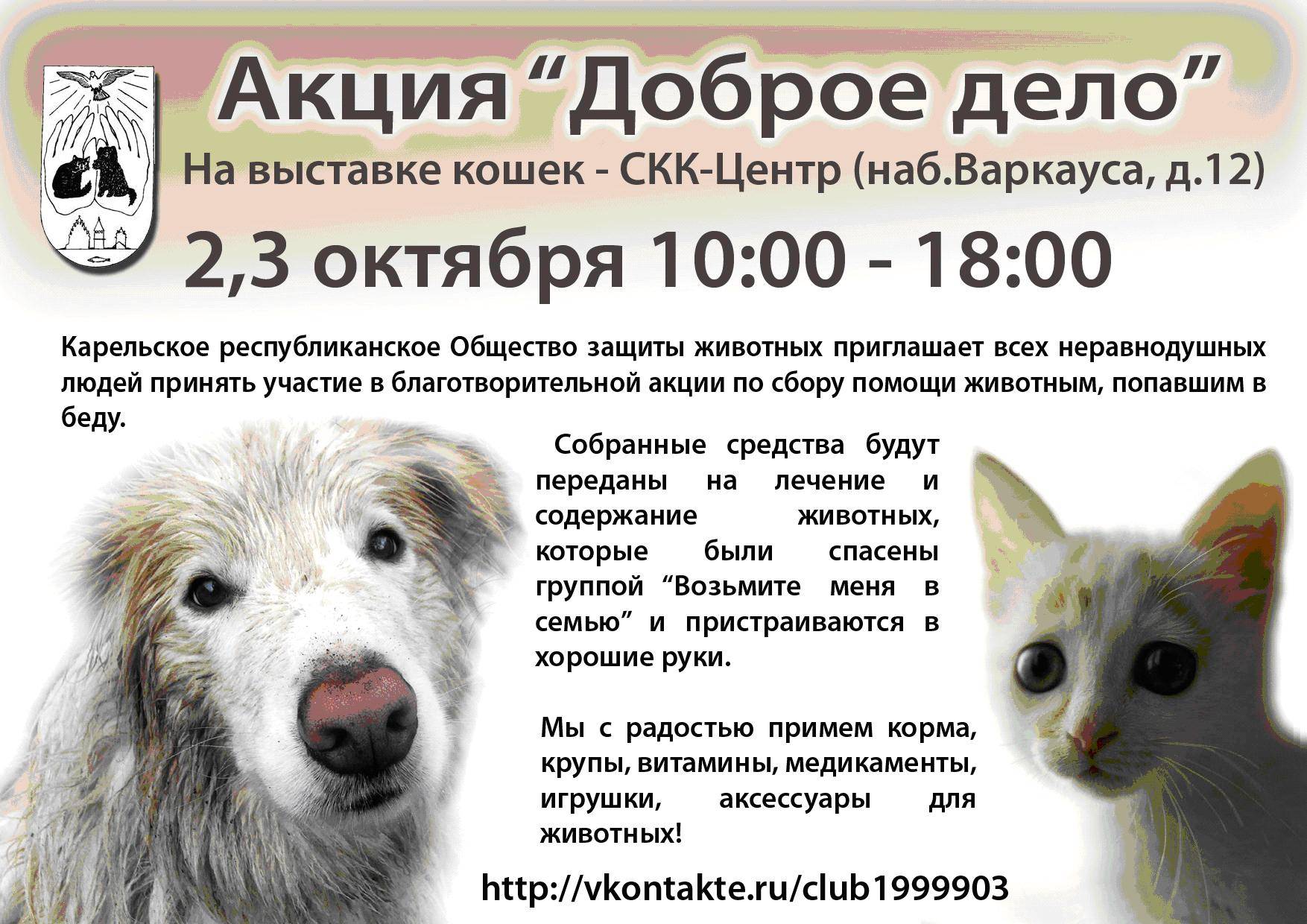 ᐉ как сдать кошку в приют в москве – приюты кошек - zoomanji.ru